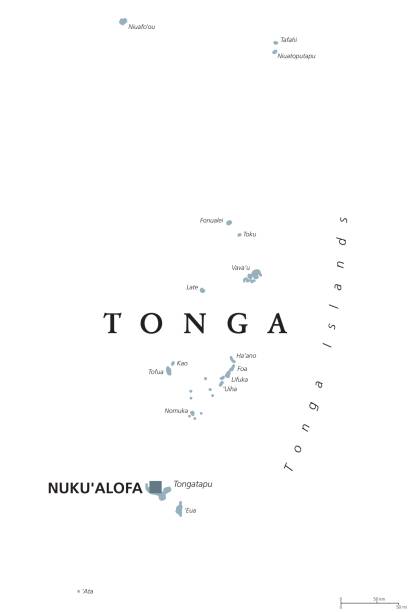 통가 정치 지도 - tonga stock illustrations