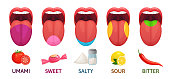 Tongue taste areas. Sweet, bitter and salty tastes. Umami and sour taste receptors diagram. Five gusto tongue tastes, tasteful gustation zone map. Medicine cartoon vector illustration