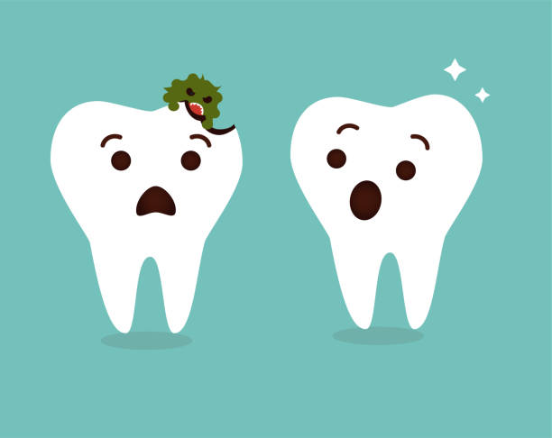 Tooth decay destroyed. Cute cartoon teeth characters vector. Tooth decay destroyed. Cute cartoon teeth characters vector. Dental care background. Healthy and unhealthy tooth. dental cavity stock illustrations