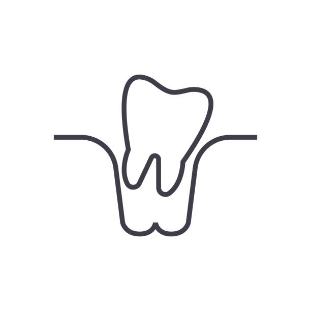Line Art Extractor : Royalty free tooth extraction clip art vector images
