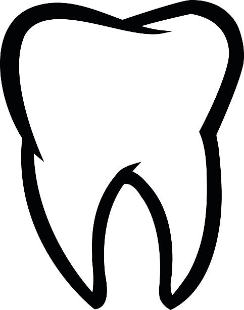 Tooth Line Drawing Tumblr : Royalty free tooth clip art vector images illustrations