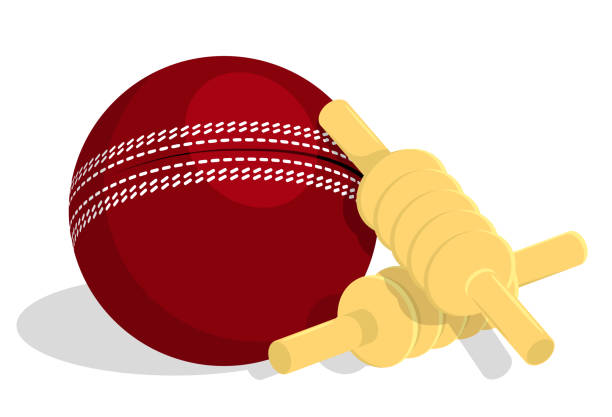 illustrazioni stock, clip art, cartoni animati e icone di tendenza di le barre superiore del wicket di cricket in legno giacciono in cima sulla palla sportiva rossa. vettore isolato in stile cartone animato - pioli