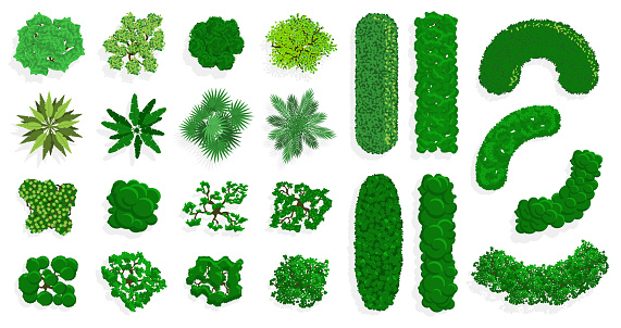 Top view bushes and trees. Green forest or park planting, green fences, bushes and trees view above. Trees top view vector illustration set. Environment above gardening view, landscape isolated green