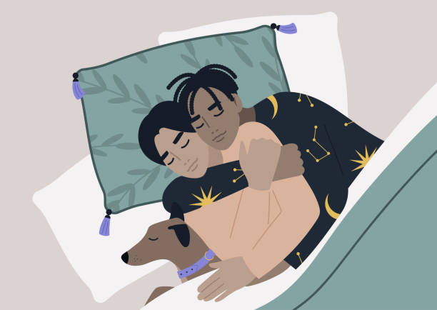 A top view of a gay couple sleeping with their pet, a cozy home atmosphere A top view of a gay couple sleeping with their pet, a cozy home atmosphere gay spooning stock illustrations