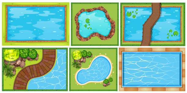 A Top View of Pond A Top View of Pond illustration pond stock illustrations