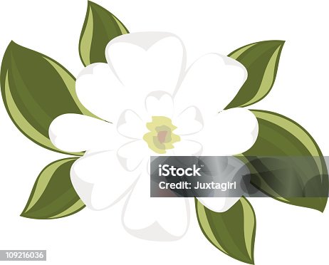 Magnolia Flower Vector Free Ai Svg And Eps
