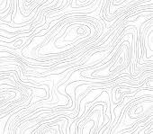 Topographic lines abstract smooth pattern background.