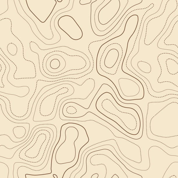 Topographic map background. Topographic map background. Actual topographic map. Seamless design, bewitching tileable isolines pattern. Vector illustration. territorial animal stock illustrations