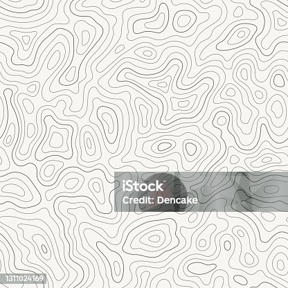 istock Topographic map seamless pattern, topography line map. Vector stock illustration 1311024169