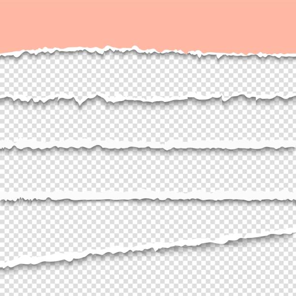 Torn paper. Pipped pages. Rip paper border background. Grunge banner with shadow. Torn paper. Pipped pages. Rip paper border background. Realistic grunge banner with shadow. Blank edge cardboard. Torn a half sheet of pink paper from the bottom at the bottom of stock illustrations