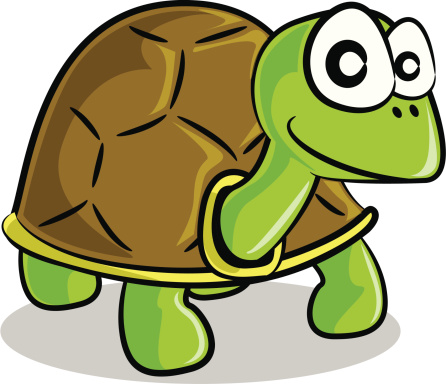 Tortoise Cartoon