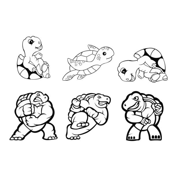 illustrazioni stock, clip art, cartoni animati e icone di tendenza di set di icone tartaruga - tartarughe