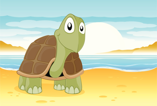 Tortoise on the beach
