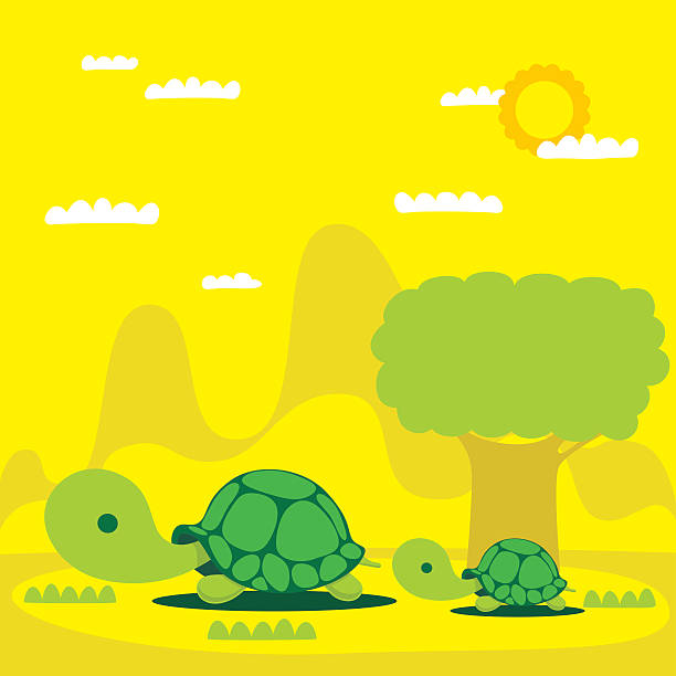 tortoise vector art illustration