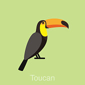 Toucan bird series
