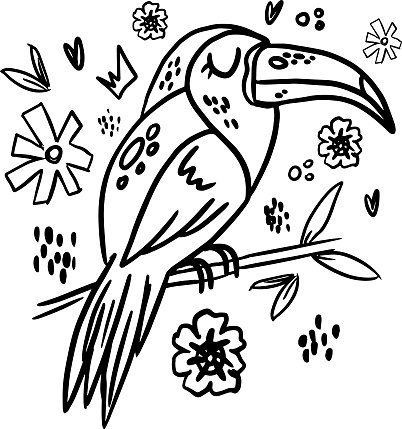 toucan doodle hand drawn coloring page. Cartoon abstract animal in scandinavian style. Wild rainforest animal. Grass branches with leaves, flowers and spots design element. Tropical jungle