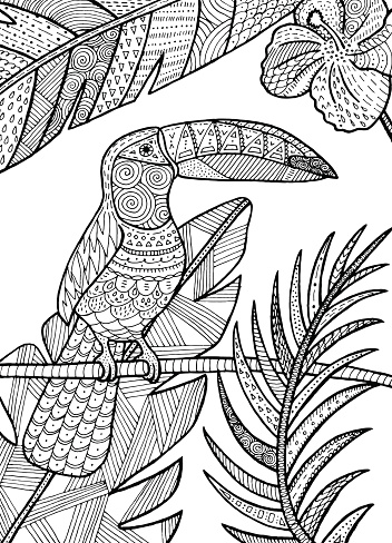 Toucan illustration.