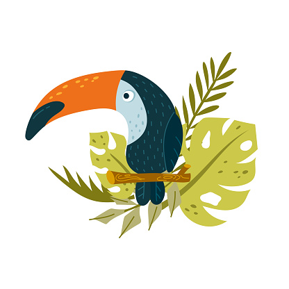 Toucan on branch with tropical leaves. Cartoon childish illustration