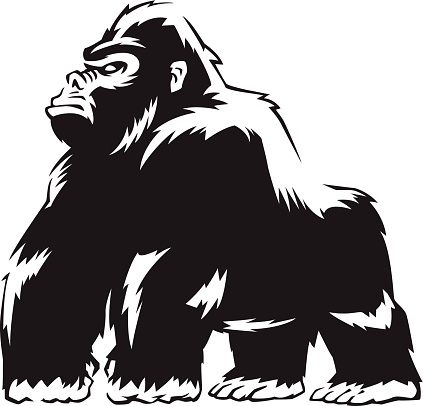 Silverback Gorilla Clip Art, Vector Images & Illustrations - iStock