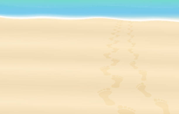 stockillustraties, clipart, cartoons en iconen met sporen in het zand van een liefdespaar. zandstrand met voetafdrukken naar de verkoelende zee. vectorillustratie. - voeten in het zand