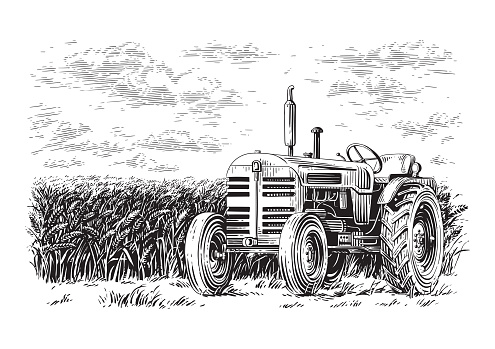 tractor on the field hand drawing sketch engraving illustration style vector