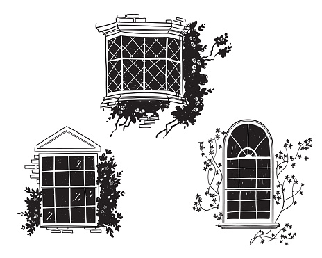 traditional english victorian windows, architectural detail vector sketch