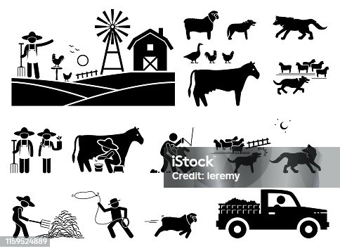 istock Traditional farmer lifestyle at barn. 1159524889