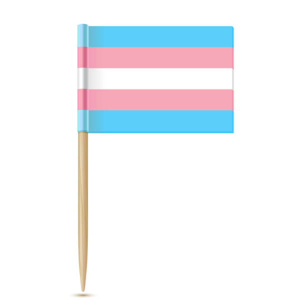 트랜스젠더 플래그. 흰색에 격리 된 이쑤시개 플래그 - progress pride flag stock illustrations