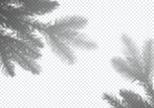istock Transparent Vector Shadow of Christmas Tree. 1280936485