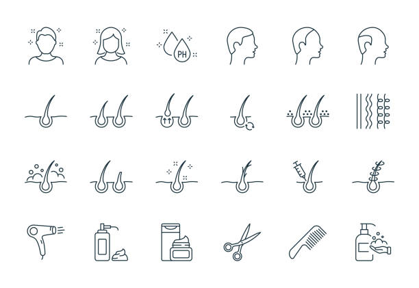 stockillustraties, clipart, cartoons en iconen met treatment and problem of hair. hair care and loss problem. shampoo, dandruff, haircut, growth and alopecia line icon. barbershop tools flat linear icons. editable stroke. vector illustration - haaruitval