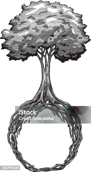 istock Tree and Globe 165794330