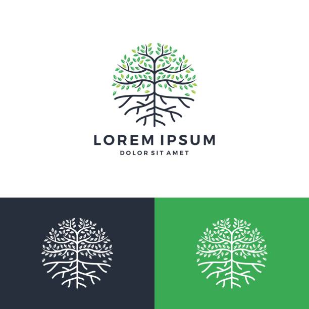 tree and root tree and root vector leaf round circle emblem badge download root stock illustrations