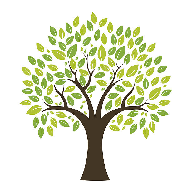 Image result for tree