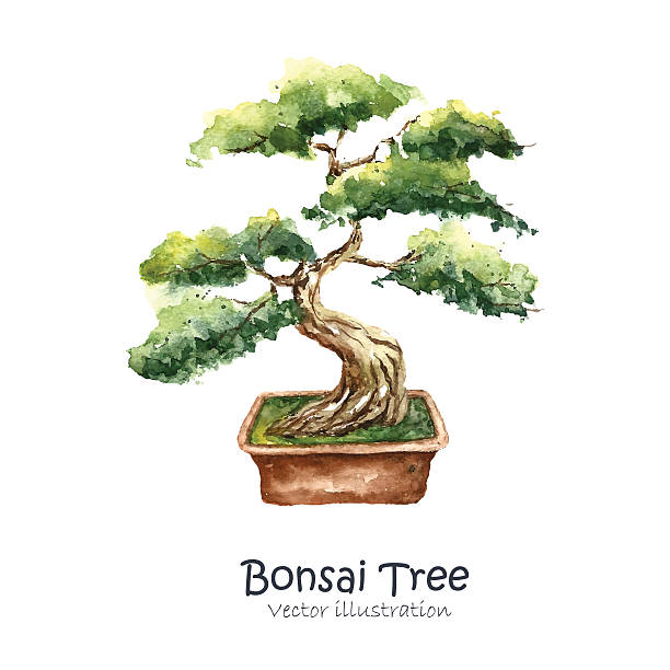 3 126 Bonsai Tree Illustrations Royalty Free Vector Graphics Clip Art Istock