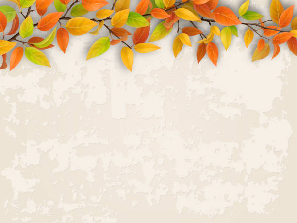 Tree branch on old plastered wall background. Tree branch with red and yellow foliage on old plastered wall. Autumn background. fall background stock illustrations
