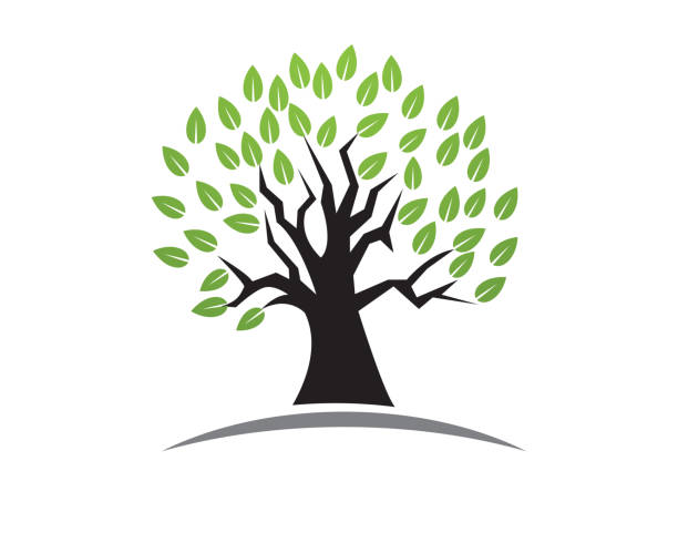 Tree green identity card vector logo template