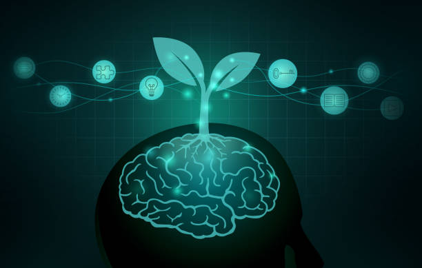 Tree growing out of human brain. Silhouette illustration about Growth Mindset and good Attitude. Tree growing out of human brain. Silhouette illustration about the ways to Build a Growth Mindset and good Attitude. attitude stock illustrations
