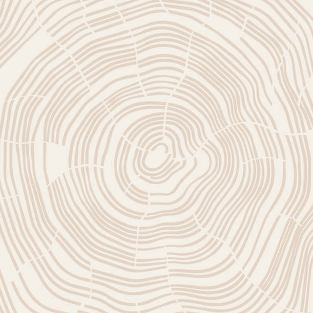 Tree Growth Rings Tree rings background line concept. natural pattern illustrations stock illustrations