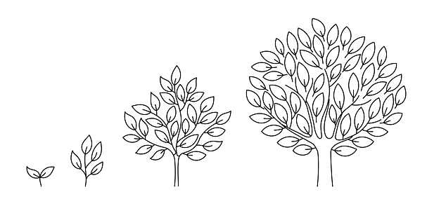 Tree growth stages. Seedling development stage. Animation progression. Business cycle development infographic. Vector contour line. Open paths. Editable stroke. Plant life process.
