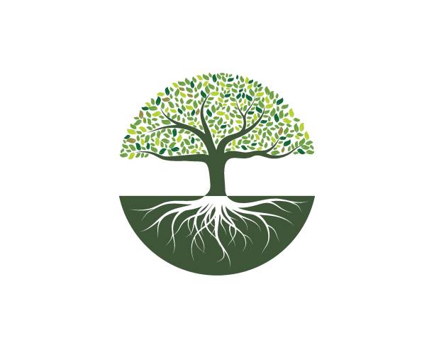 Tree icon logo template vector Tree icon logo template vector design root stock illustrations