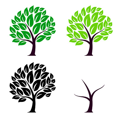 Tree icon set (summer winter) vector