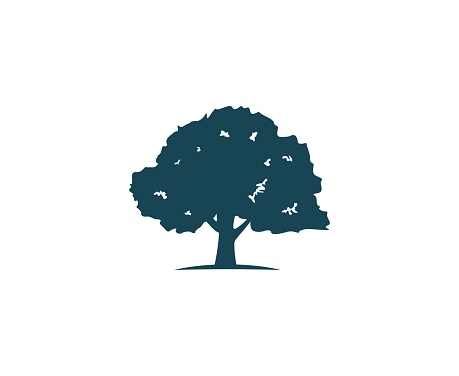 Tree Icon Stock Illustration - Download Image Now - iStock