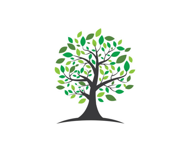 ilustraciones, imágenes clip art, dibujos animados e iconos de stock de diseño de logotipo de vector de la hoja de árbol - family tree
