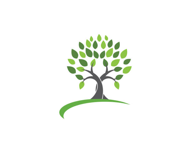 ilustraciones, imágenes clip art, dibujos animados e iconos de stock de diseño de logotipo de vector de la hoja de árbol - family tree