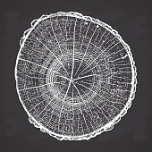 Tree log, wood growth rings grunge texture vector illustration on chalkboard background.