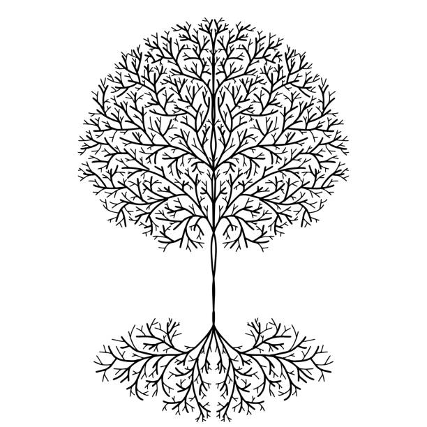 ilustraciones, imágenes clip art, dibujos animados e iconos de stock de tree of life dibujado vector de diseño - arbol de la vida