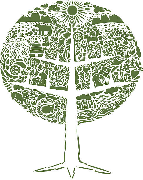 ilustraciones, imágenes clip art, dibujos animados e iconos de stock de árbol de la vida - arbol de la vida