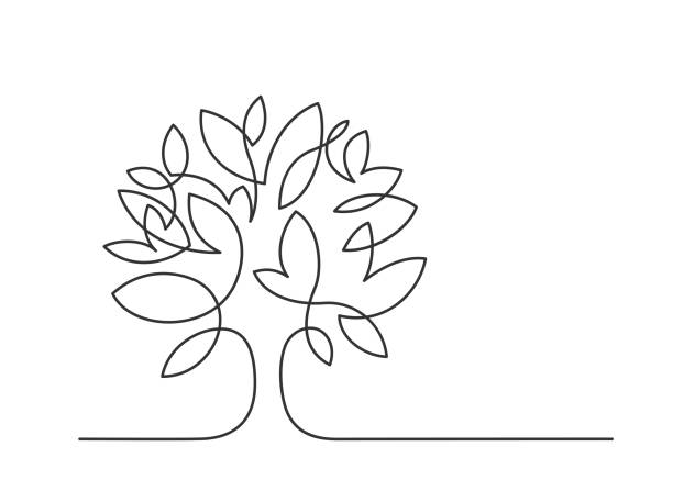 tree one line 2 Continuous line drawing of tree on white background. Vector illustration growth drawings stock illustrations