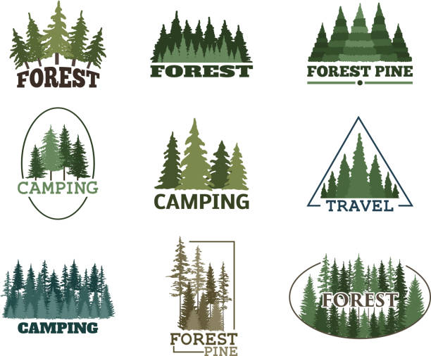 Tree outdoor travel green silhouette forest badge coniferous natural icon badge tops pine spruce vector Tree outdoor travel green silhouette forest icon coniferous natural badge tops pine spruce branch cedar and plant leaf abstract stem drawing vector illustration. Panorama scene horizon decoration. pine tree stock illustrations