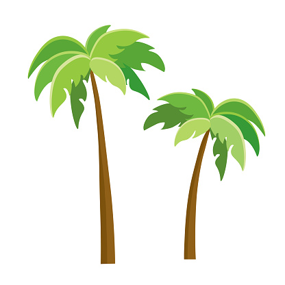 Tree Palm Beach Illustrator Isolated Icon Cartoon Style Game Content ...